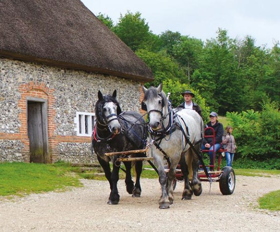 Weald and Downland Living Museum, Sussex
