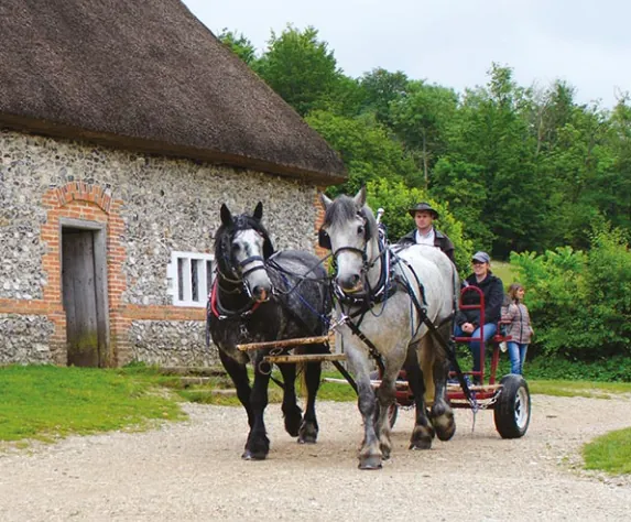 Weald and Downland Living Museum, Sussex