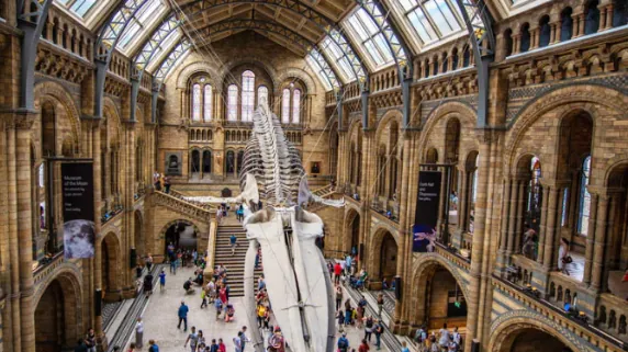 Natural History Museum Hintze Hall, South Kensington